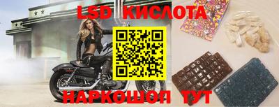 стафф Обнинск